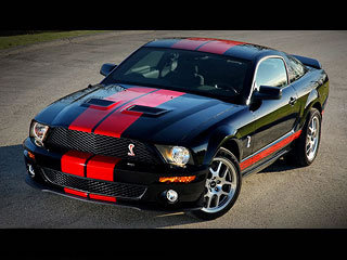  2008 Shelby
