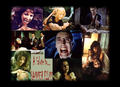 A Salute to... Hammer Films - horror-movies photo