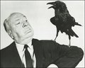 Alfred Hitchcock - classic-movies photo