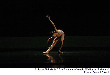  Alonzo King's LINES Ballet