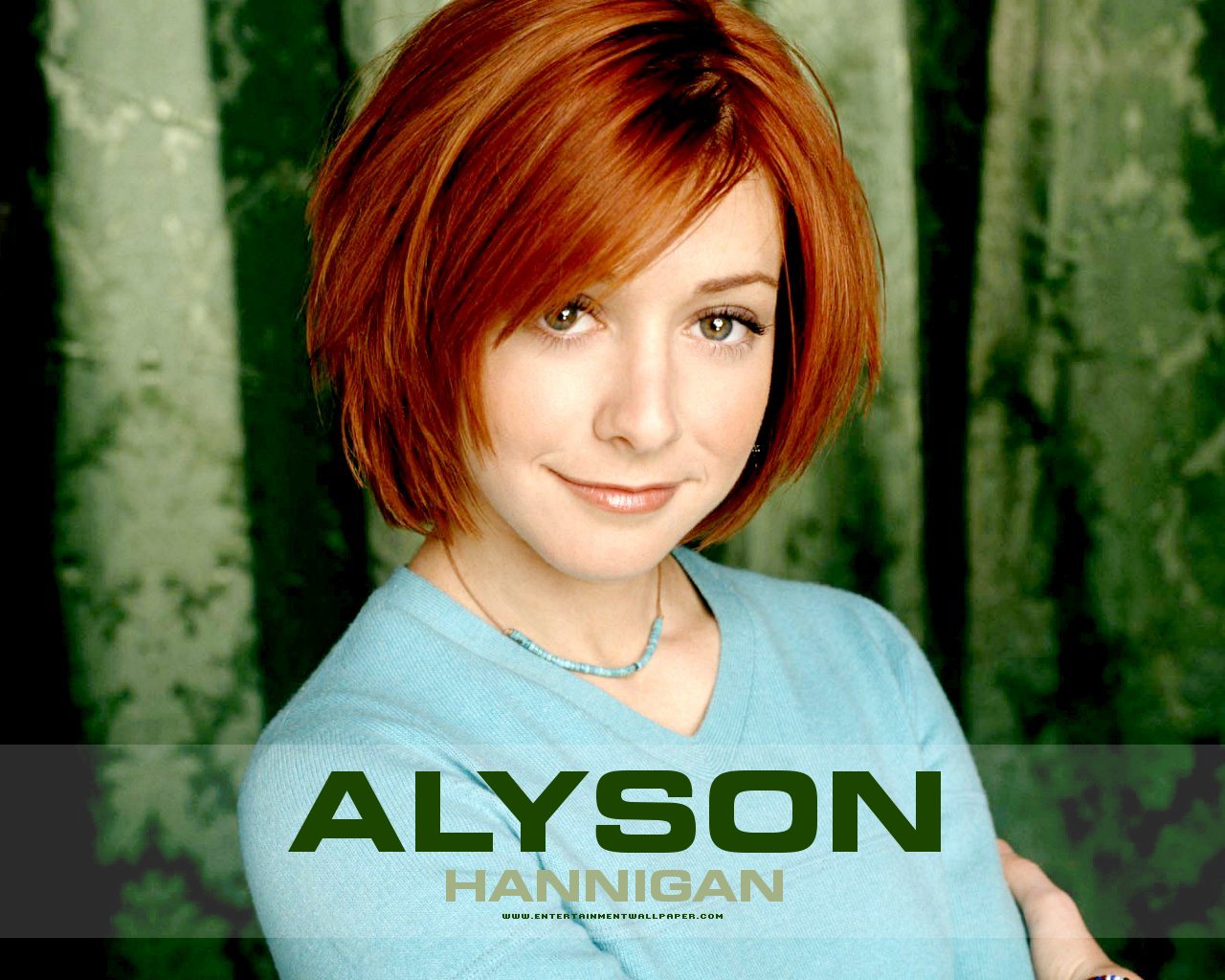 Alyson Hannigan Hair
