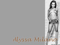Alyssa Milano - charmed wallpaper