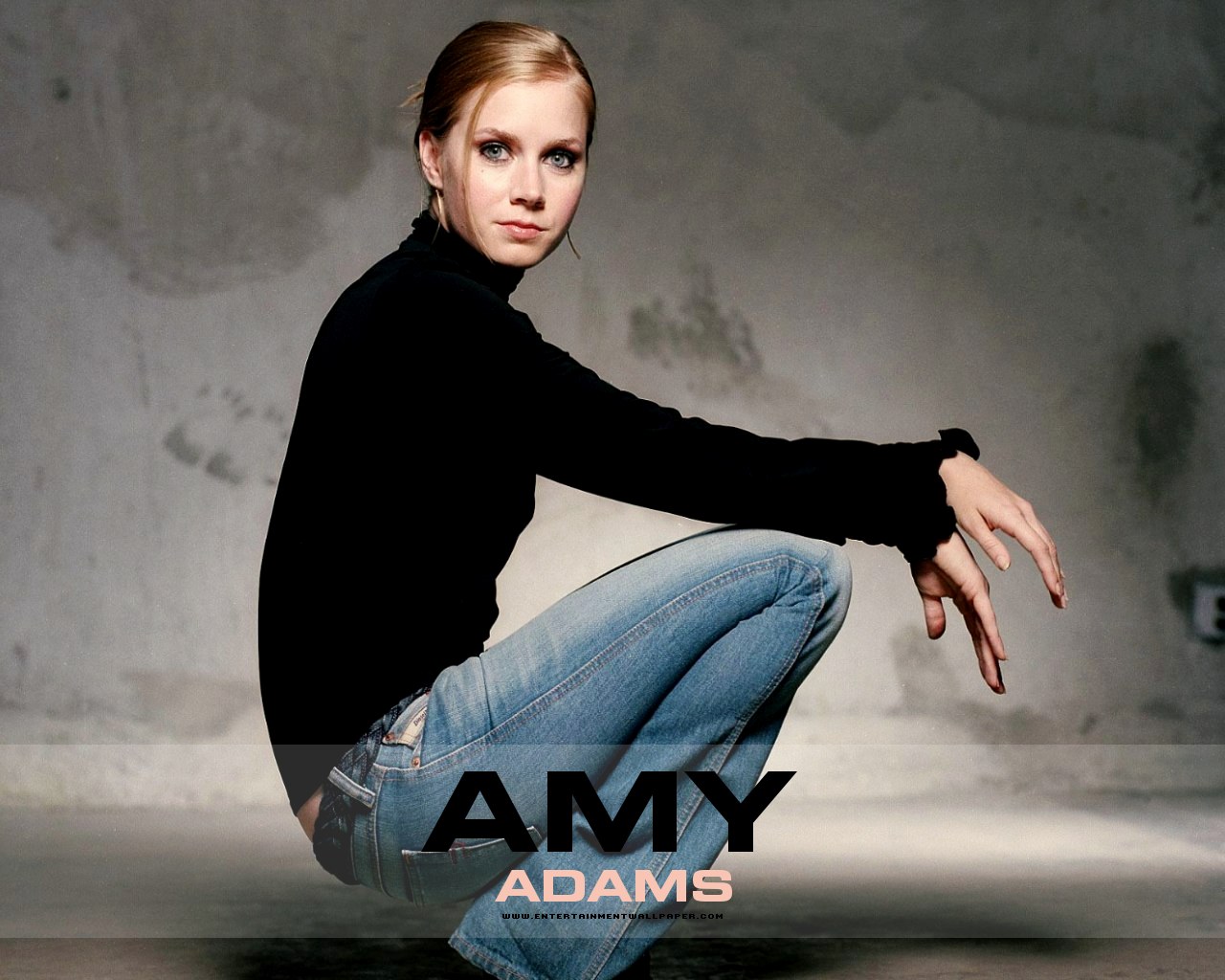 Download this Amy Adams picture