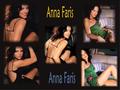 anna-faris - Anna Faris wallpaper