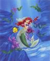 Ariel & Flounder - the-little-mermaid photo