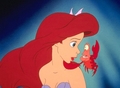 Walt Disney Production Cels - Princess Ariel & Sebastian - the-little-mermaid photo