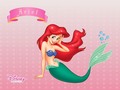 Walt Disney Wallpapers - Princess Ariel - disney-princess wallpaper