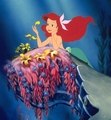 Walt Disney Production Cels - Princess Ariel - the-little-mermaid photo