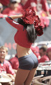 Arizona backside - nfl-cheerleaders photo