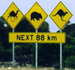 Australia Sign - australia icon