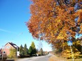 Autumn in Sweden - autumn photo