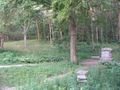 Bachelors Grove - cemeteries-and-graveyards photo