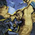 Batman Rogues Gallery - dc-comics photo