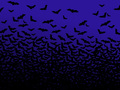 halloween - Bats Are Good wallpaper