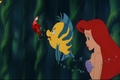 Walt Disney Screencaps - Sebastian, Flounder & Princess Ariel - the-little-mermaid photo