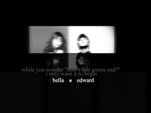  Bella & Edward 壁紙