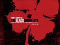 the-black-donnellys - Black Donnellys wallpaper wallpaper
