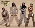 black-eyed-peas - Black Eyed Peas wallpaper