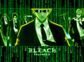 Bleach Reloaded - bleach-anime photo