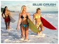 movies - Blue Crush wallpaper