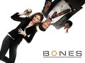 Booth and Bones - seeley-booth wallpaper