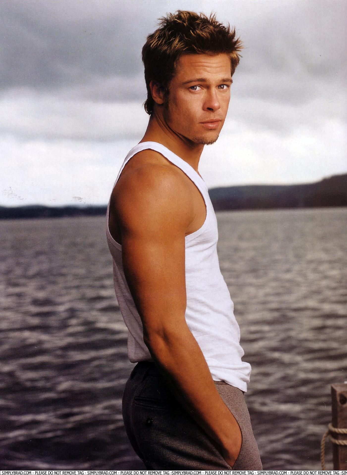 Sexy Pictures Of Brad Pitt 31
