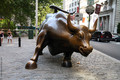 Bull Statue in Bowling Green - new-york photo