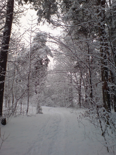 Bygdøy (Oslo) in winter