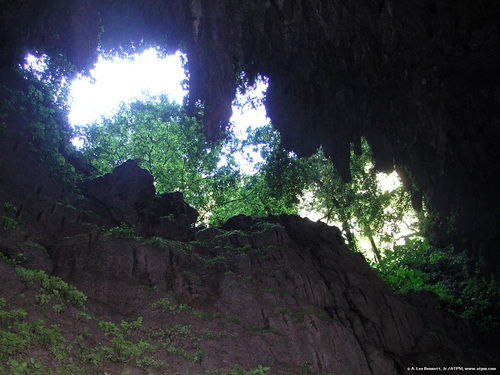 Camuy Cave