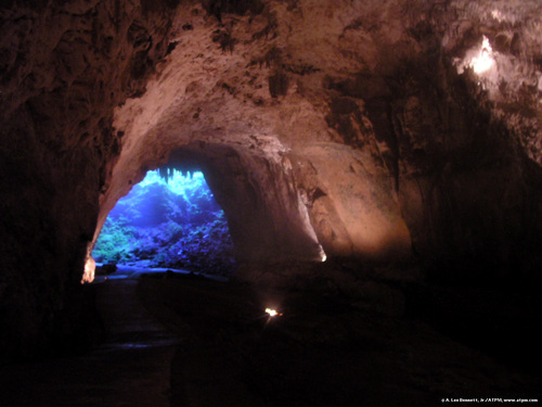  Camuy Cave