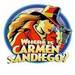 Carmen Sandiego - carmen-sandiego icon
