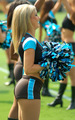 Carolina's good side - nfl-cheerleaders photo