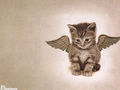cats - Cat Wallpaper wallpaper