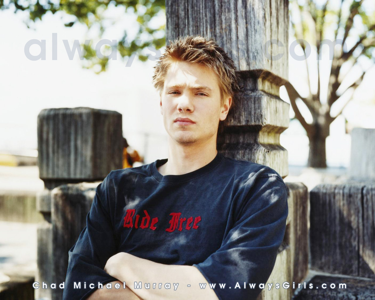 Chad Michael Murray - Photo Colection