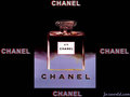 chanel - Chanel by Andy Warhol wallpaper