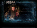 Character Profile - harry-potter photo