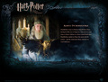 Character Profile - harry-potter photo