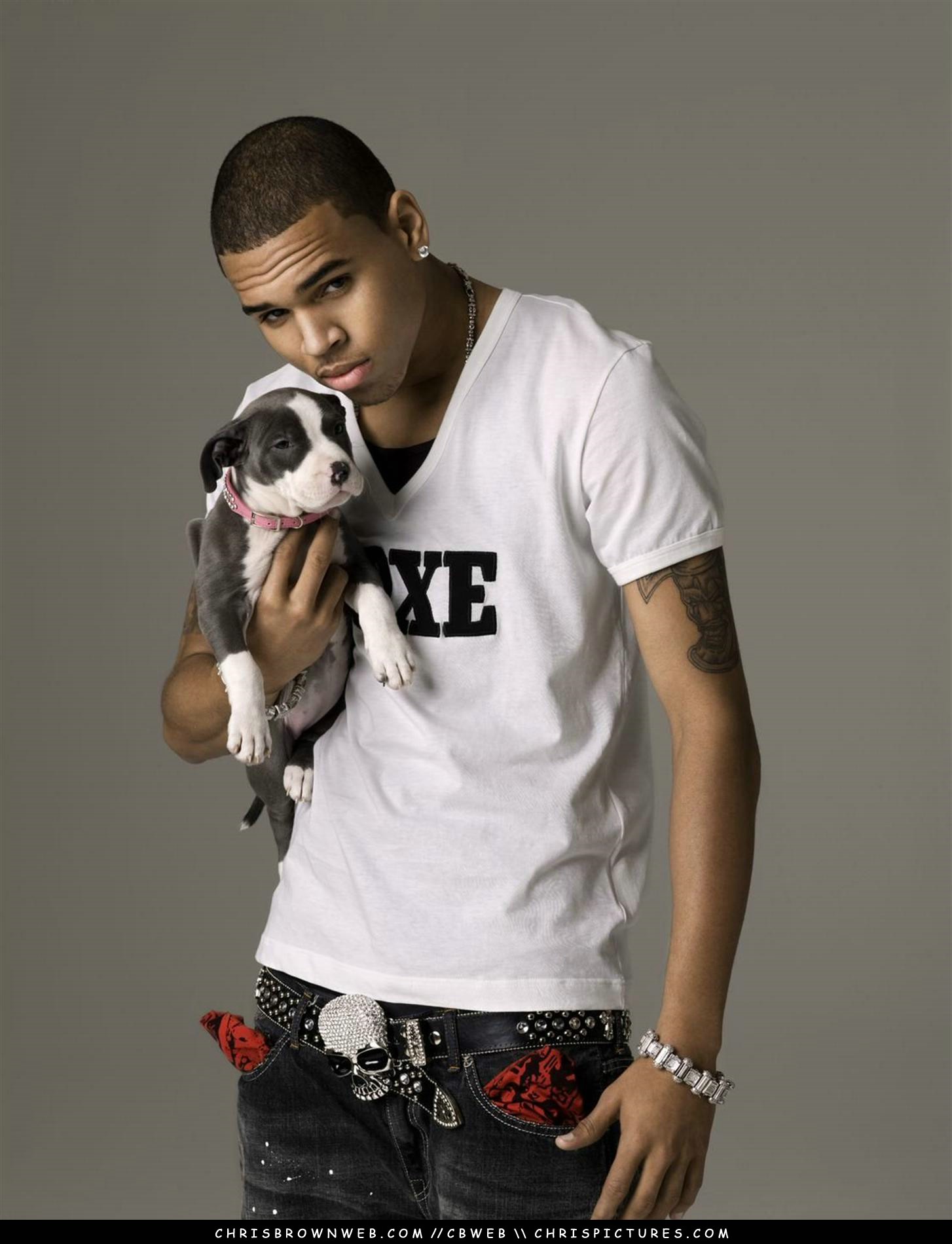 Chris Brown - Picture Gallery