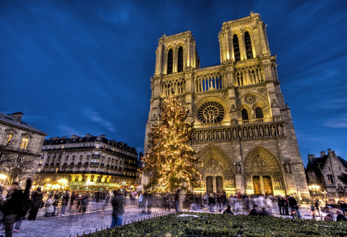  크리스마스 at Notre Dame