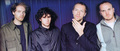 Coldplay - coldplay photo
