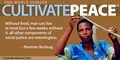 Cultivate Peace - human-rights photo