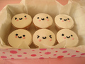 Cupcake Faces - cupcakes photo