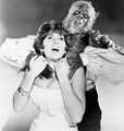 Curse of the Werewolf - the-60s photo