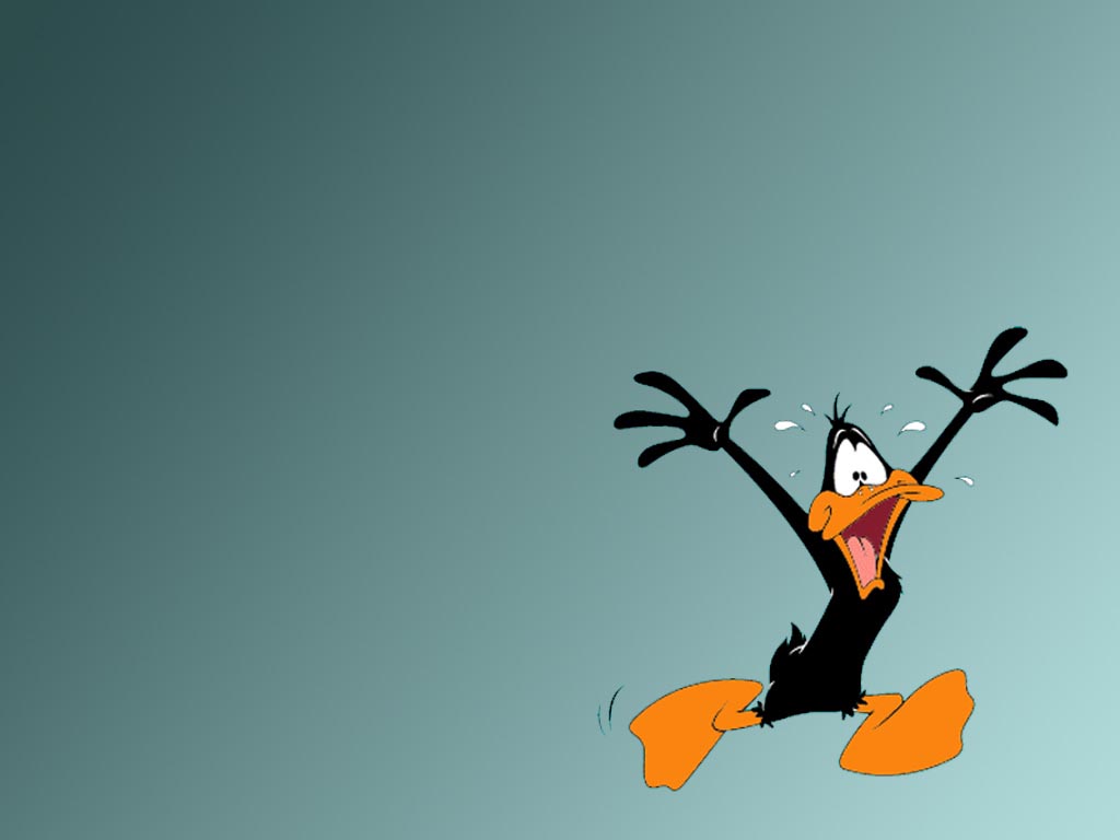 Daffy Duck - Warner Brothers Animation Wallpaper (71670) - Fanpop