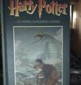 Danish Harry Potter book - harry-potter photo