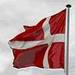 Dannebrog-The danish flag name - denmark icon