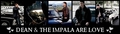 Dean and the Impala - supernatural photo