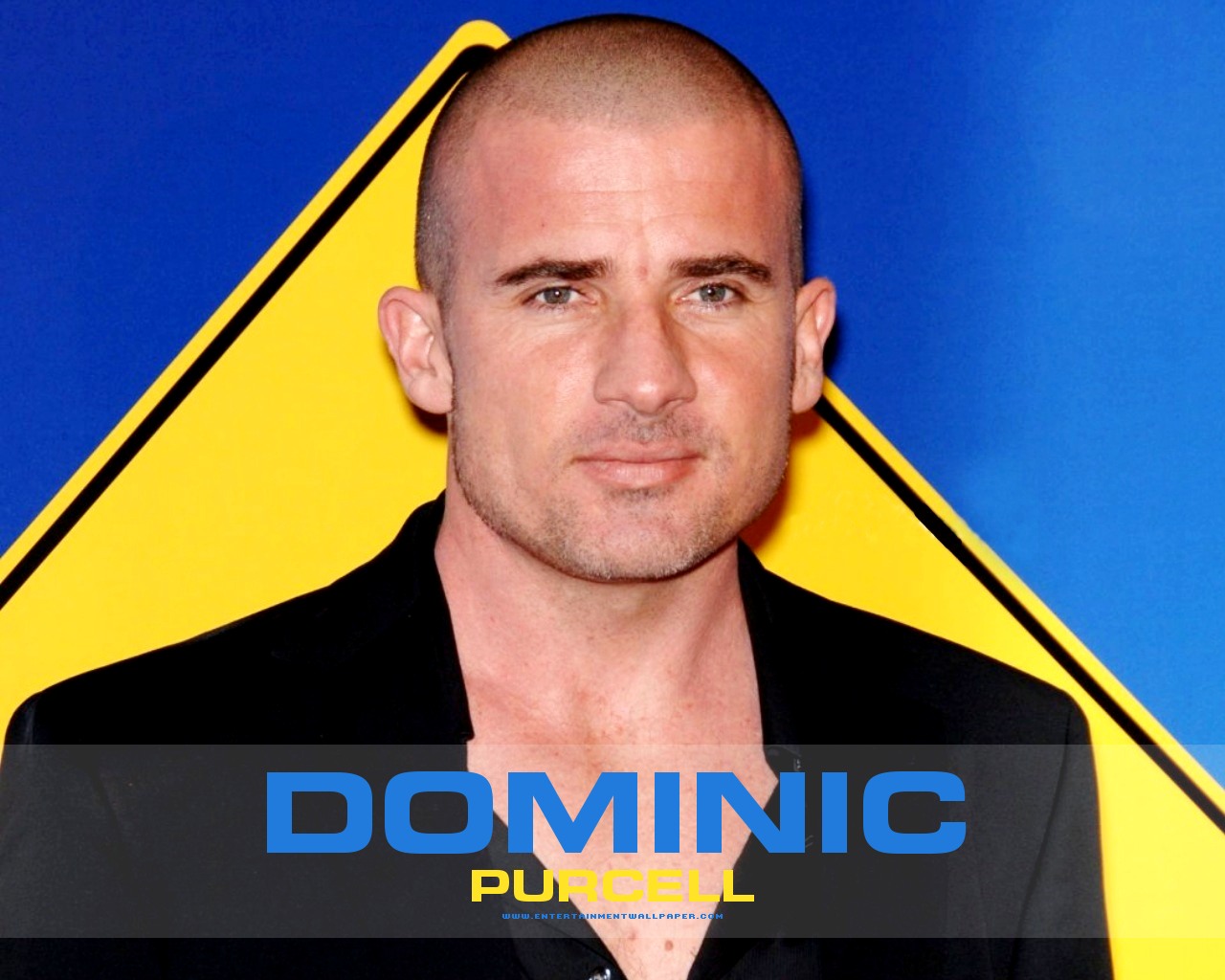 Dominic Purcell - Picture
