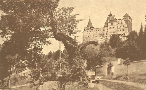  Dracula (bran) lâu đài
