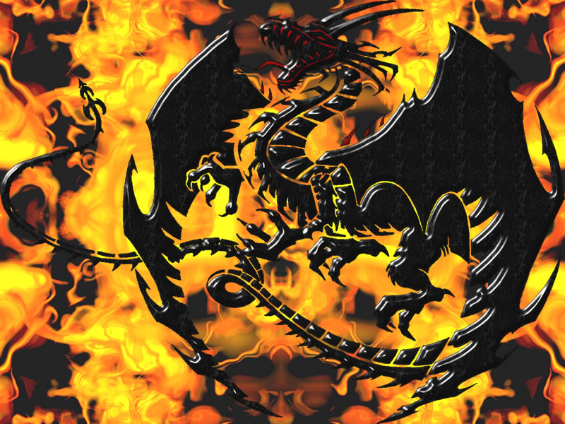 Dragon Wallpaper - Fantasy 800x600